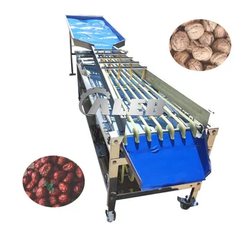 Машина за сортиране на плодове на лентата от PVC за боровинки, електрически машини за сортиране на боровинки