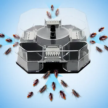 Не са капани за хлебарки: идеалното решение за унищожаване на хлебарки в дома Инструменти за унищожаване на хлебарки